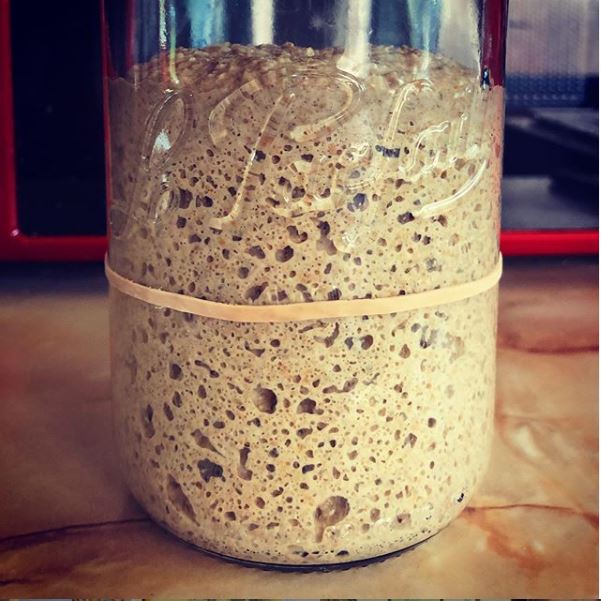 Sourdough Starter